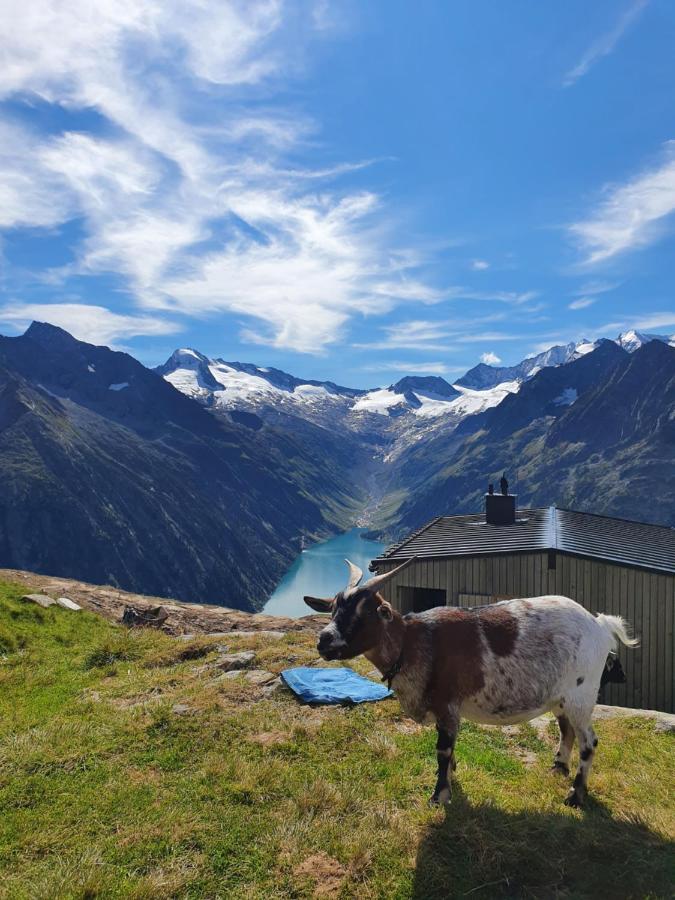 Appartement Lara & Lea Zell am Ziller Zewnętrze zdjęcie
